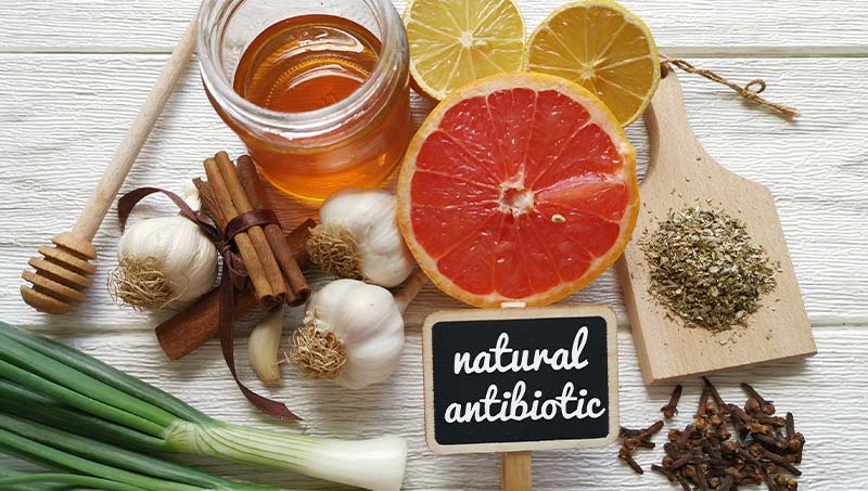 a Wilmington chiropractor at Cowan Chiropractic & Rehabilitation explains 11 natural antibiotics